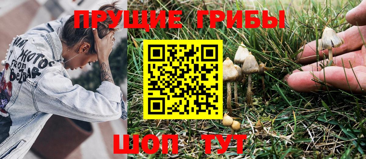 Псилоцибиновые грибы мухоморы  Галлюциногенные грибы Psilocybe  Ирбит  Вход с VPN 